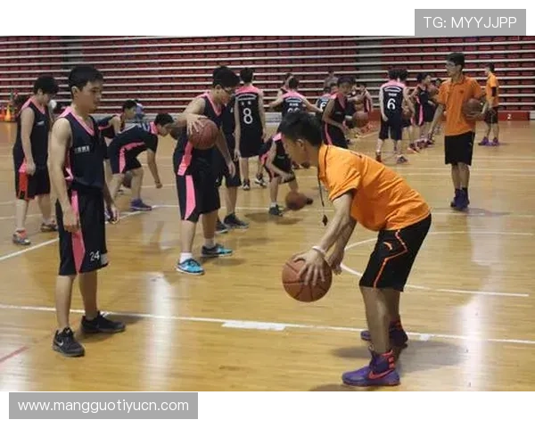 MK体育国际版成为国际体育行业的重要信息发布渠道，影响力不断扩大