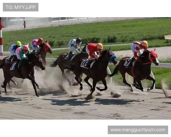 博乐体育app安全保障措施解析，保障用户个人信息与资金安全的全面策略